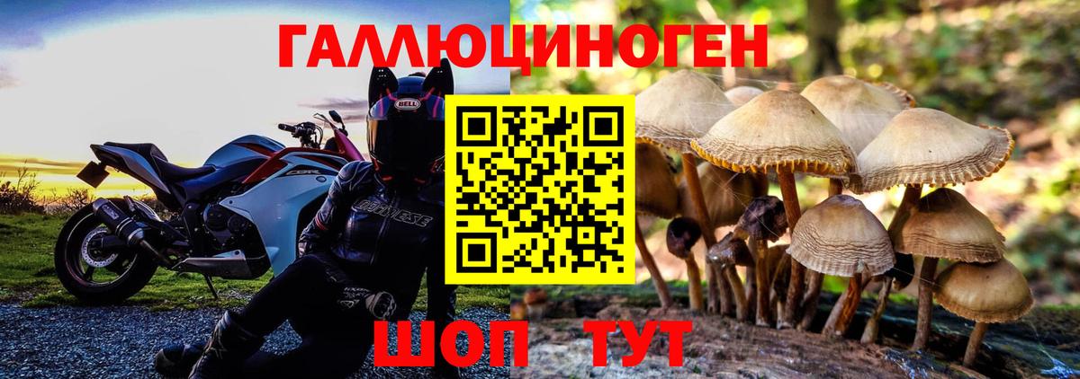 Псилоцибиновые грибы ЛСД Реутов
